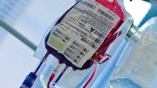 Blood supply: What is a Blood? Everything about blood You Need To Know: Rean Times