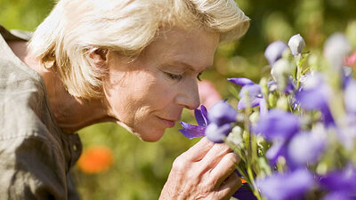 Geruchssinn lässt im Alter nach