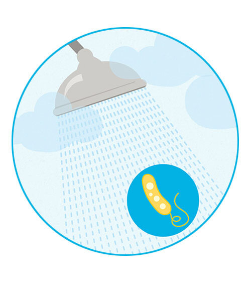 Infografik Dusche mit Legionellen