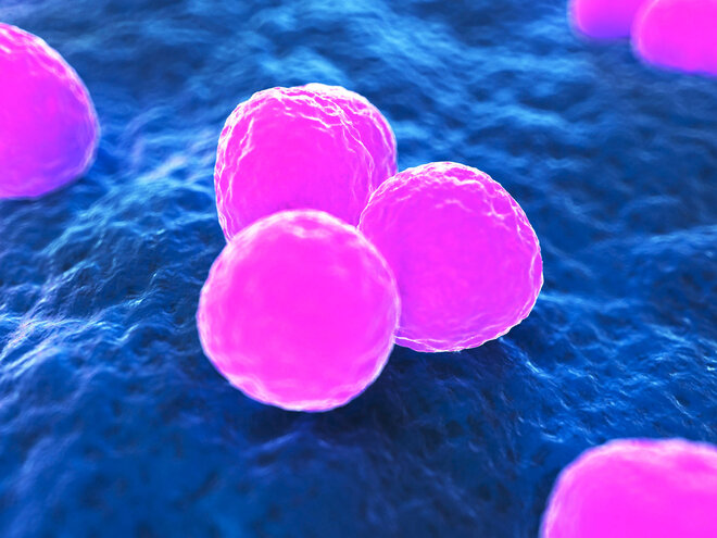 Gesund Werden Ohne Antibiotikum Apotheken Umschau