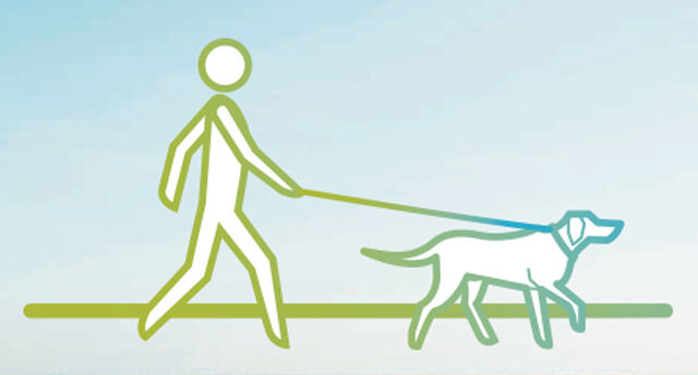 Infografik: Spaziergang mit Hund