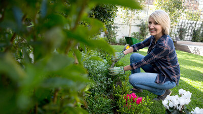 Eine Frau kniet neben einem Beet und schneidet eine Pflanze mit einer Gartenschere.