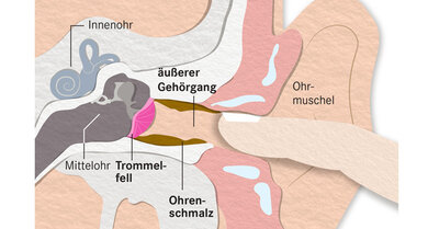 Bei der Ohrenpflege gilt: nur die Stellen säubern, die der kleine Finger erreicht. Kleine, spitze Gegenstände können das Trommelfell und den Gehörgang verletzten