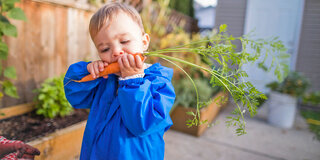Gesundes Essen für die Kleinen? Da ist Gemüse erste Wahl. Es sollte aber immer vorher gewaschen werden – auch wenn es noch so gut schmeckt.
