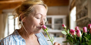 Feiner Rosenduft: Bei Geruchsstörungen kann ein Riechtraining helfen - und so die Lebensqualität wieder verbssern.