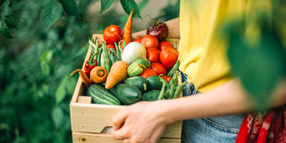 Nicht nur gesund, sondern auch nachhaltig: Frisches Gemüse aus biologischem oder regionalen Anbau.