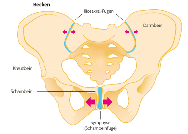 Symphysenlockerung Schmerz Im Becken Baby Und Familie