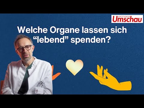 Welche Organe lassen sich "lebend" spenden?